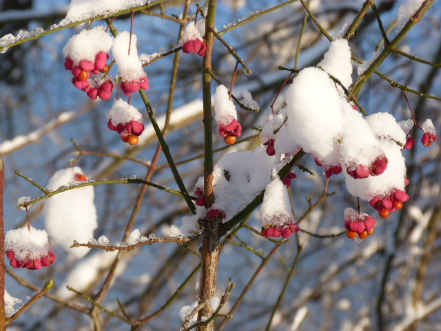 Winterlandschaft 3